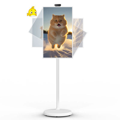 کیفیت  21" Android 12 System Stand By Me TV Smart Broadcast Machine Touch Screen کارخانه